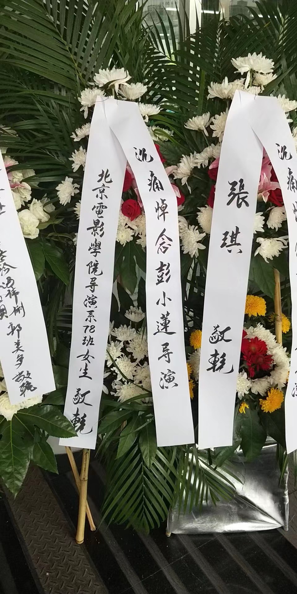 2019,6.19日彭小莲导演追悼会(图1) 2019,6.19日彭小莲导演追悼会(图1)