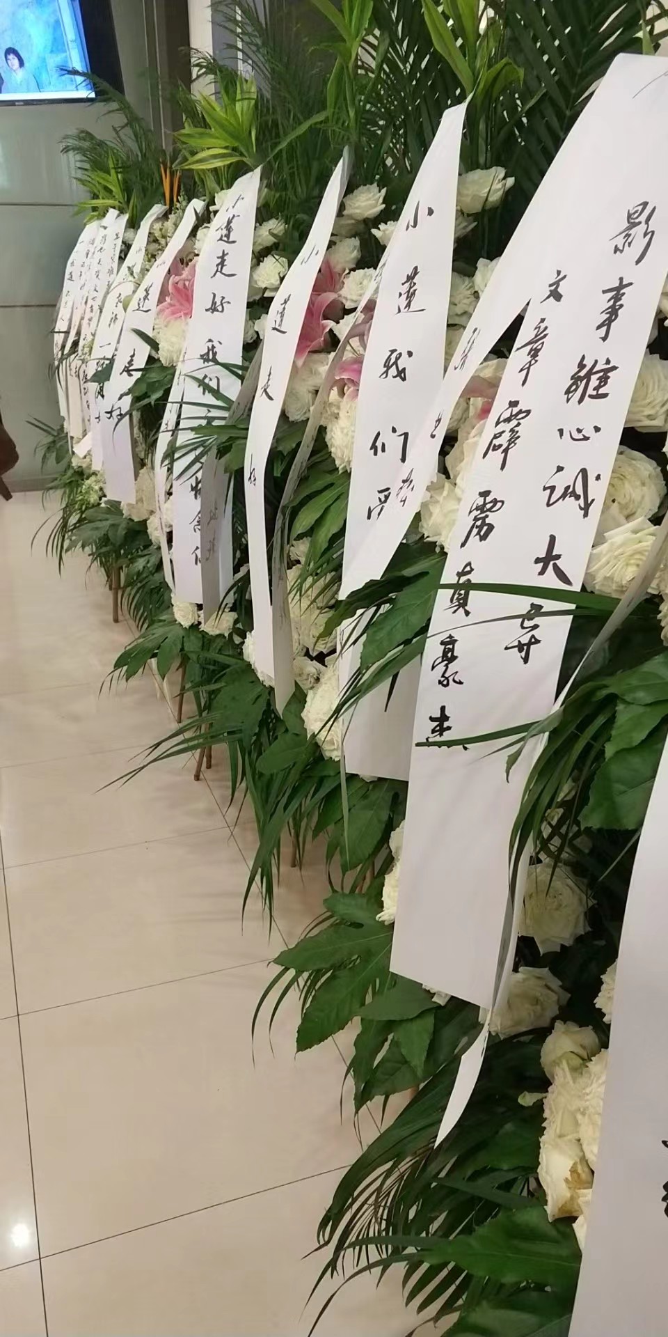 2019,6.19日彭小莲导演追悼会(图2) 2019,6.19日彭小莲导演追悼会(图2)