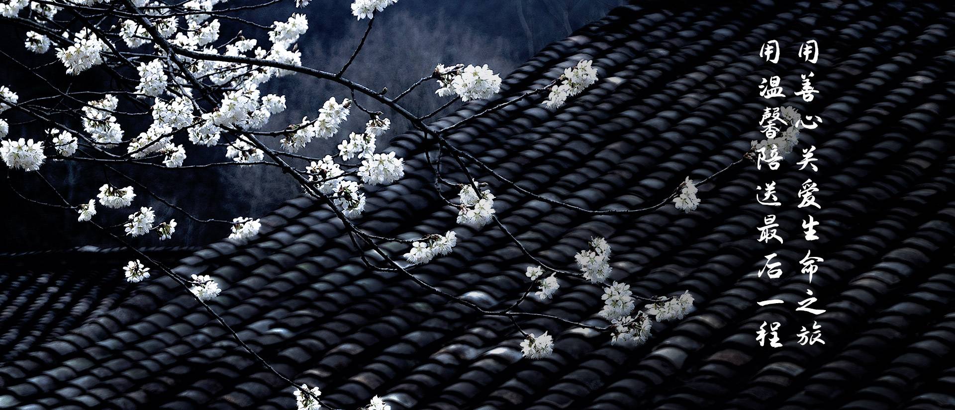 龙华殡仪馆电话